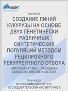 СОЗДАНИЕ ЛИНИЙ КУКУРУЗЫ НА ОСНОВЕ ДВУХ ГЕНЕТИЧЕСКИ РАЗЛИЧНЫХ СИНТЕТИЧЕСКИХ ПОПУЛЯЦИЙ МЕТОДОМ РЕЦИПРОКНОГО РЕКУРРЕНТНОГО ОТБОРА