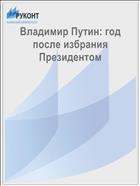 Владимир Путин: год после избрания Президентом