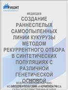 СОЗДАНИЕ РАННЕСПЕЛЫХ САМООПЫЛЕННЫХ ЛИНИИ КУКУРУЗЫ МЕТОДОМ РЕКУРРЕНТНОГО ОТБОРА В СИНТЕТИЧЕСКИХ ПОПУЛЯЦИЯХ С РАЗЛИЧНОЙ ГЕНЕТИЧЕСКОЙ ОСНОВОЙ