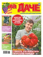 АиФ. На даче