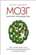 Мозг: краткое руководство