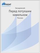 Перед потухшим камельком