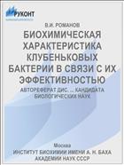 БИОХИМИЧЕСКАЯ ХАРАКТЕРИСТИКА КЛУБЕНЬКОВЫХ БАКТЕРИИ В СВЯЗИ С ИХ ЭФФЕКТИВНОСТЬЮ