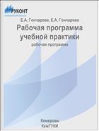 Рабочая программа учебной практики