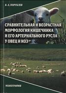 Сравнительная и возрастная морфология кишечника и его артериального русла у овец и коз