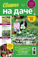 Сваты на даче