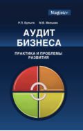 Аудит бизнеса. Практика и проблемы развития