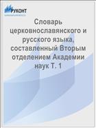 Словарь церковнославянского и русского языка, составленный Вторым отделением Академии наук Т. 1