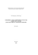 Специфика социальной инфраструктуры сибирских городов и перспективы их совершенствования